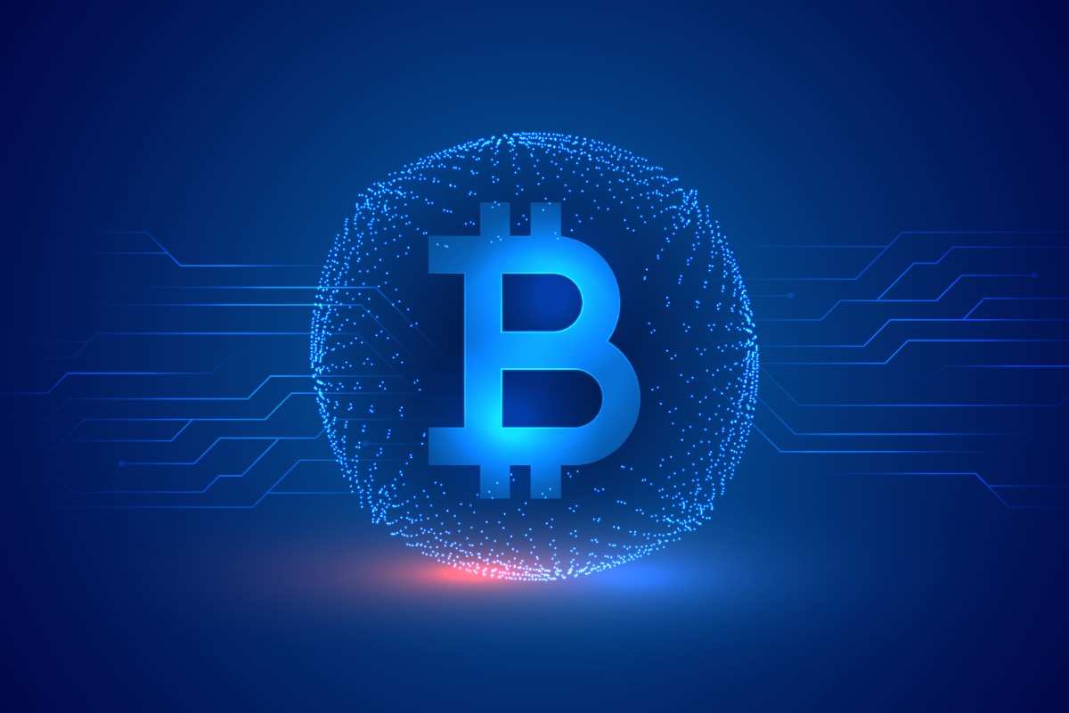 Wallet Dashboard
