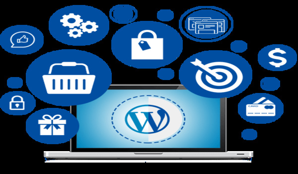 WP Dashboard